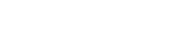 LV Health | Logo